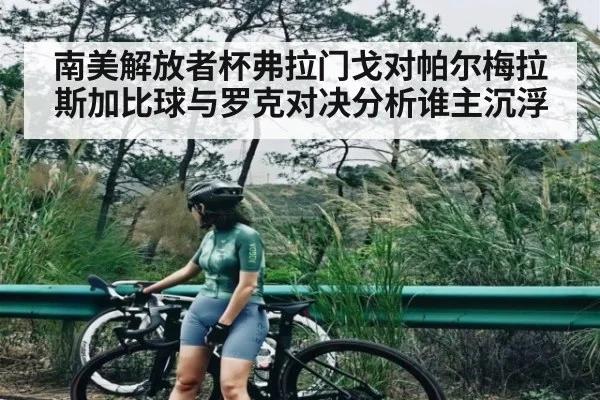 南美解放者杯弗拉门戈对帕尔梅拉斯加比球与罗克对决分析谁主沉浮